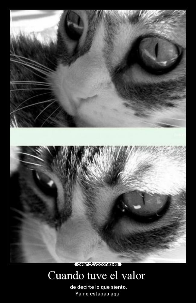 Cuando tuve el valor  - 