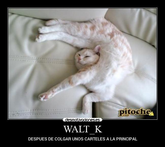 WALT_K - DESPUES DE COLGAR UNOS CARTELES A LA PRINCIPAL