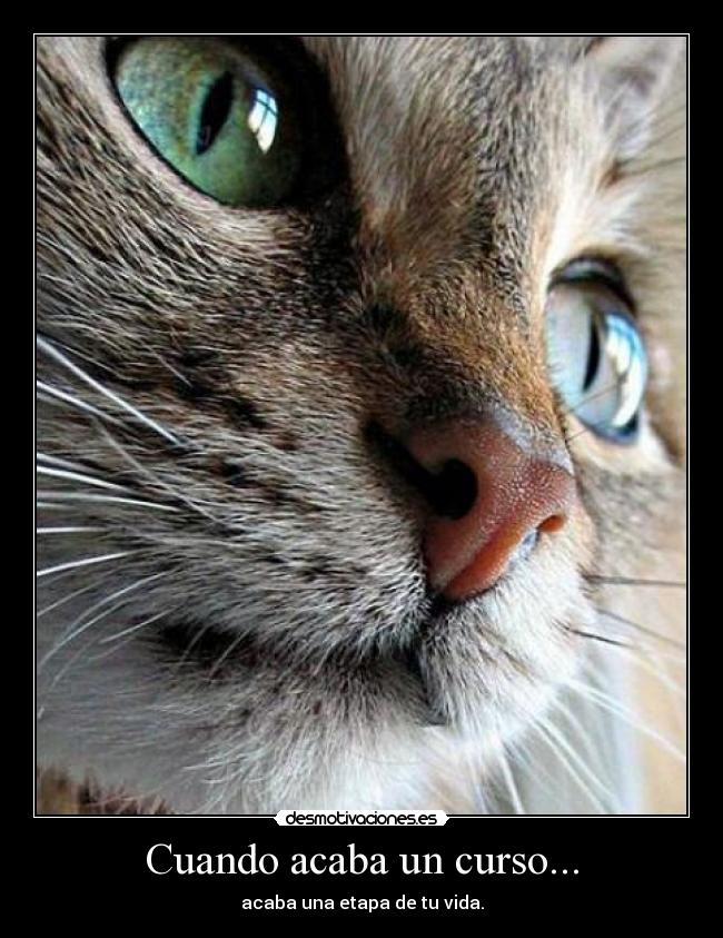 Cuando acaba un curso... -