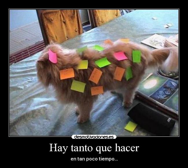 Hay tanto que hacer - 