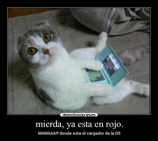 mierda, ya esta en rojo. - MAMAAA!!! donde esta el cargador de la DS