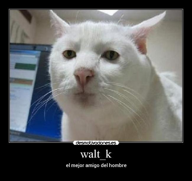 walt_k - el mejor amigo del hombre