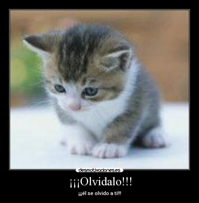¡¡¡Olvidalo!!! - 
