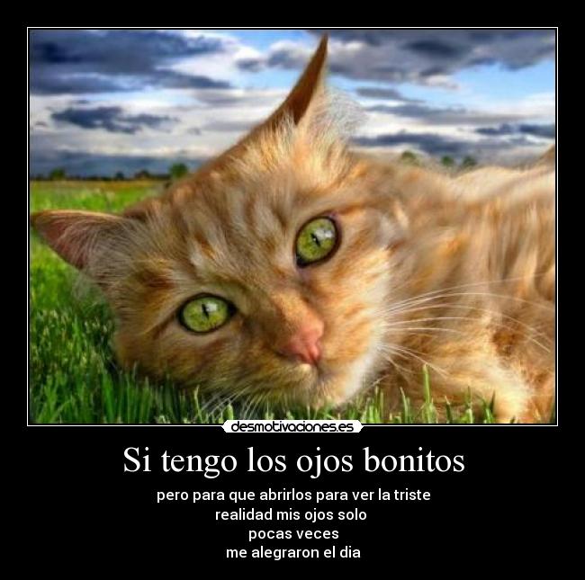 Si tengo los ojos bonitos -