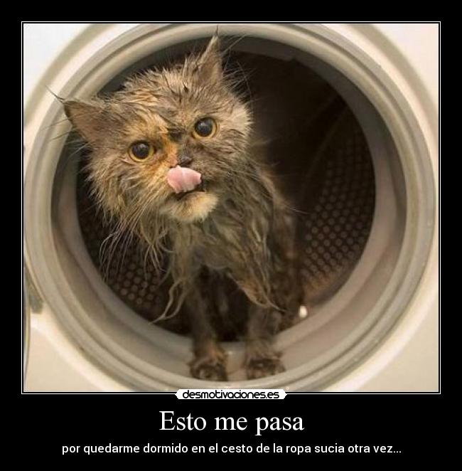 Esto me pasa - por quedarme dormido en el cesto de la ropa sucia otra vez...