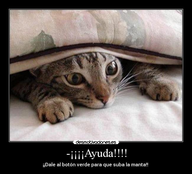 -¡¡¡¡Ayuda!!!! -
