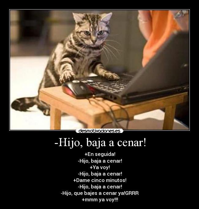 -Hijo, baja a cenar! -