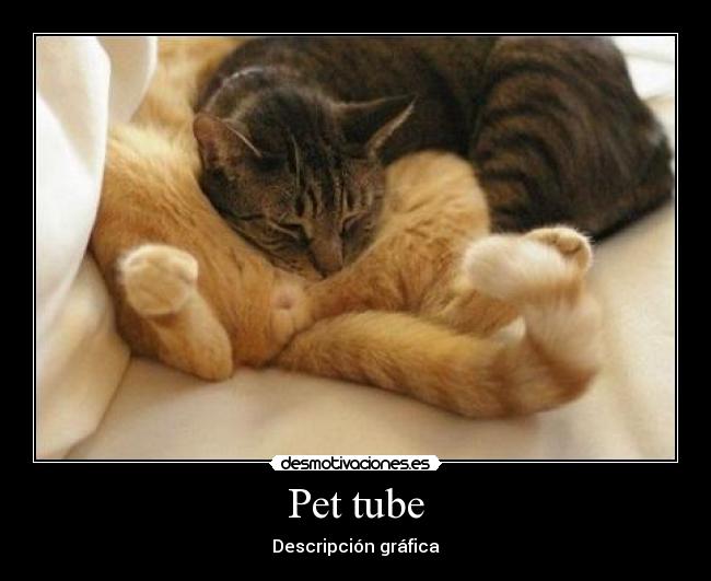 Pet tube - 