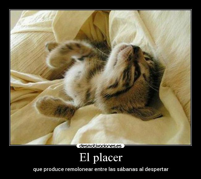 El placer - que produce remolonear entre las sábanas al despertar