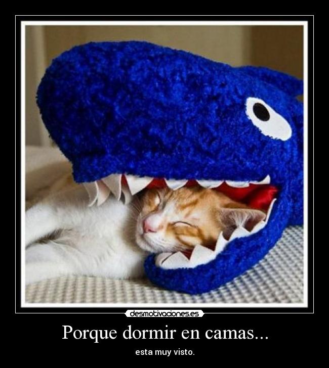 Porque dormir en camas... - 