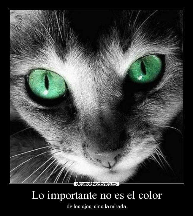 carteles mirada desmotivaciones