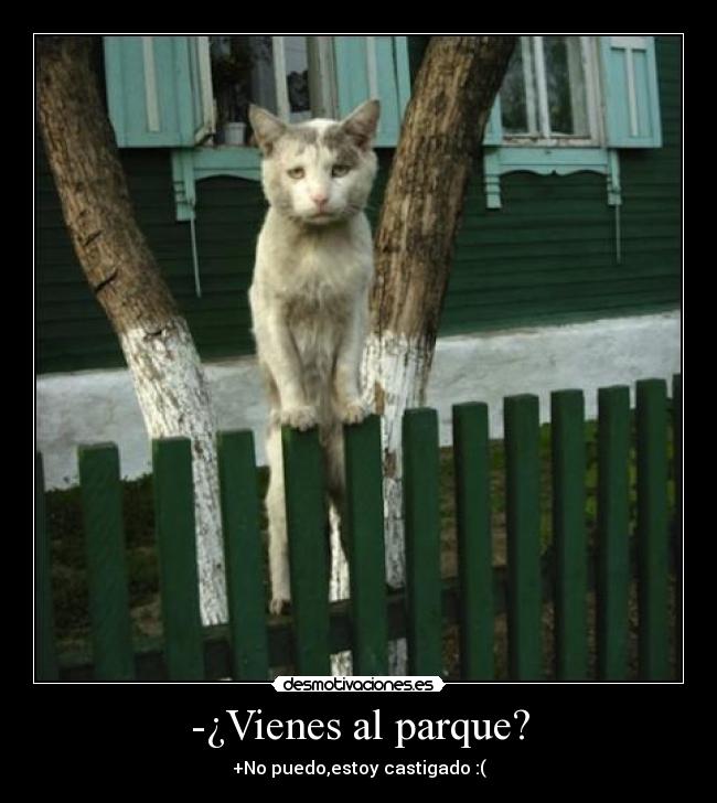 -¿Vienes al parque? -