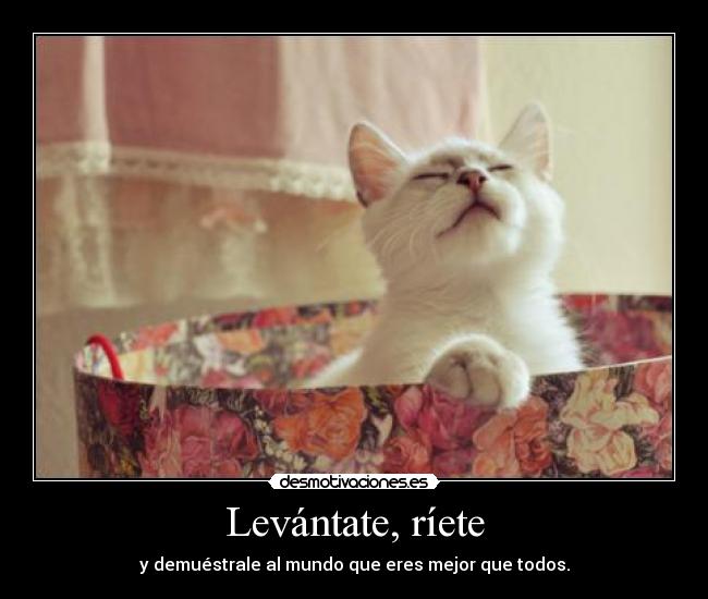 Levántate, ríete -