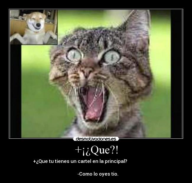 +¡¿Que?! - +¿Que tu tienes un cartel en la principal?
-Como lo oyes tio.
