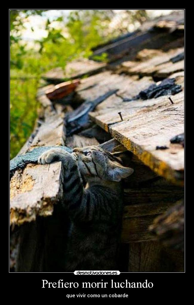 Prefiero morir luchando -