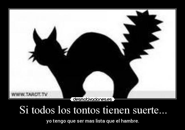 Si todos los tontos tienen suerte... -