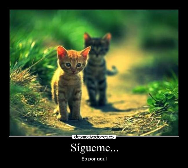 Sígueme... -