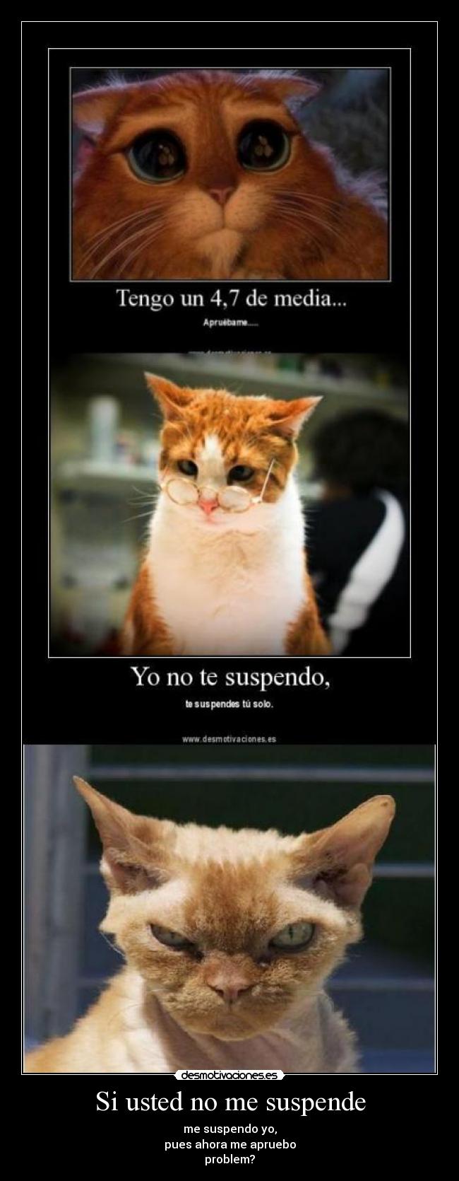 Si usted no me suspende - me suspendo yo,
pues ahora me apruebo
problem?