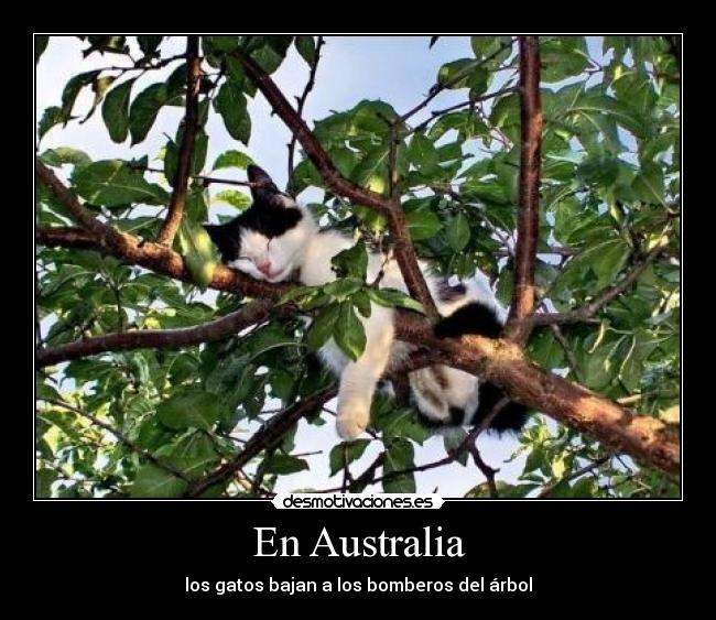 En Australia -