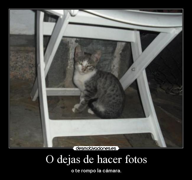 O dejas de hacer fotos -