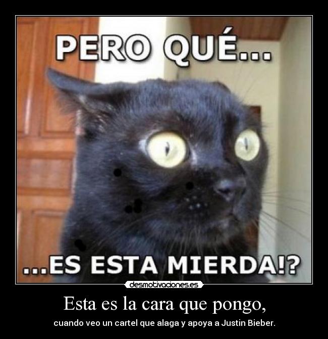Esta es la cara que pongo, - cuando veo un cartel que alaga y apoya a Justin Bieber.