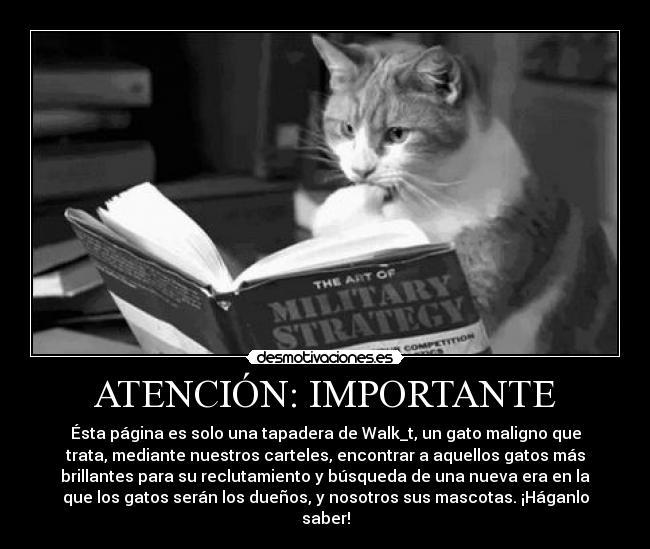 ATENCIÓN: IMPORTANTE - Ésta página es solo una tapadera de Walk_t, un gato maligno que
trata, mediante nuestros carteles, encontrar a aquellos gatos más
brillantes para su reclutamiento y búsqueda de una nueva era en la
que los gatos serán los dueños, y nosotros sus mascotas. ¡Háganlo
saber!