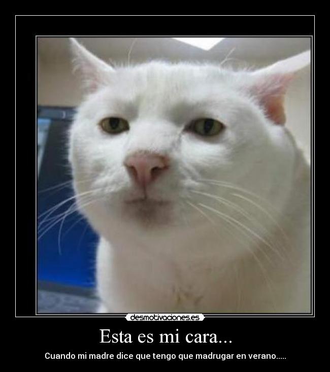 Esta es mi cara... -