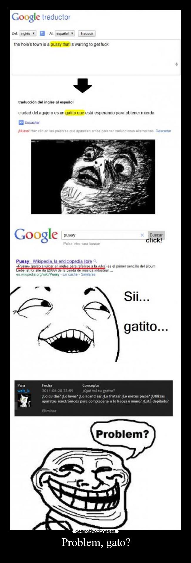 Problem, gato? - 