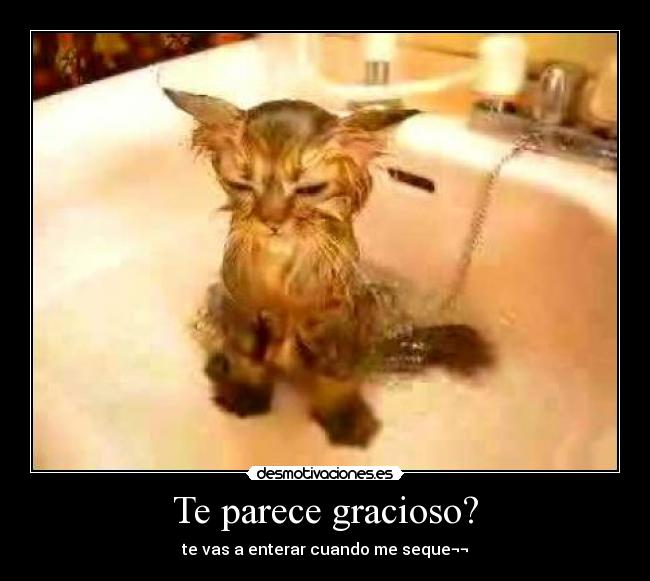 Te parece gracioso? -