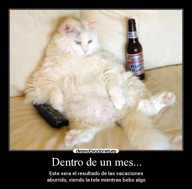 Dentro de un mes... - 