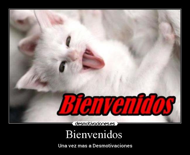 Bienvenidos  - 