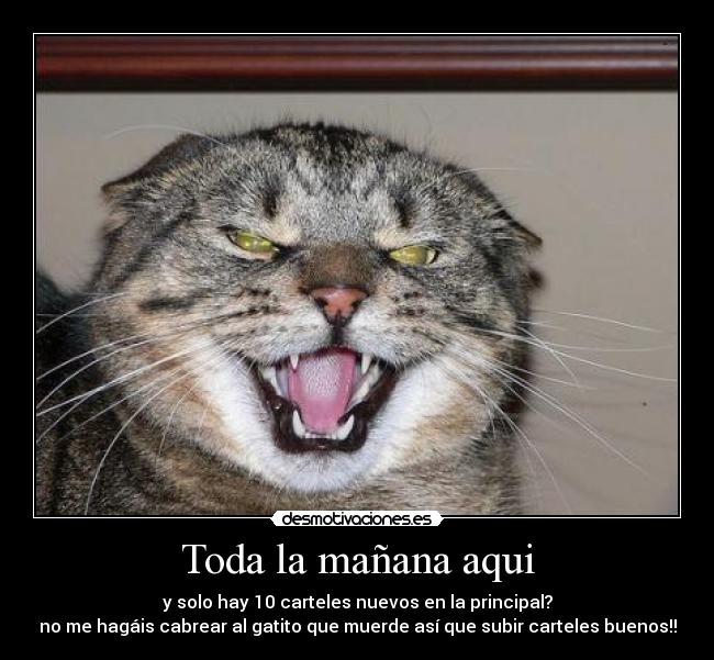 Toda la mañana aqui - 