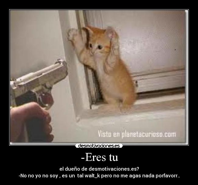 -Eres tu - el dueño de desmotivaciones.es?
-No no yo no soy , es un tal walt_k pero no me agas nada porfavorr..