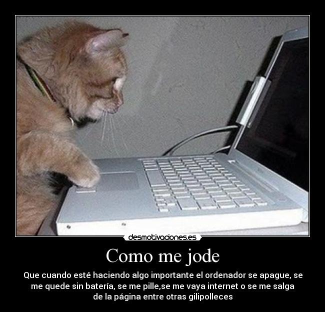 Como me jode - Que cuando esté haciendo algo importante el ordenador se apague, se
me quede sin batería, se me pille,se me vaya internet o se me salga
de la página entre otras gilipolleces
