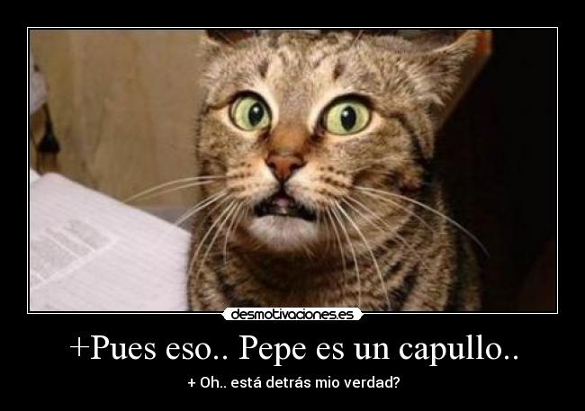 carteles gato asustado pepe walt_k desmotivaciones