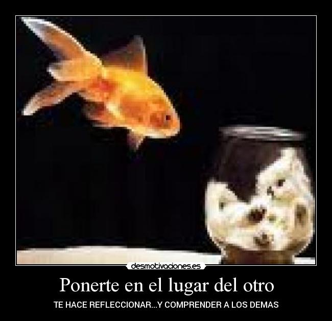 Ponerte en el lugar del otro - TE HACE REFLECCIONAR...Y COMPRENDER A LOS DEMAS