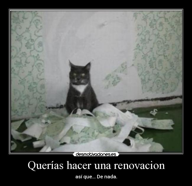 carteles renovacion gato desmotivaciones