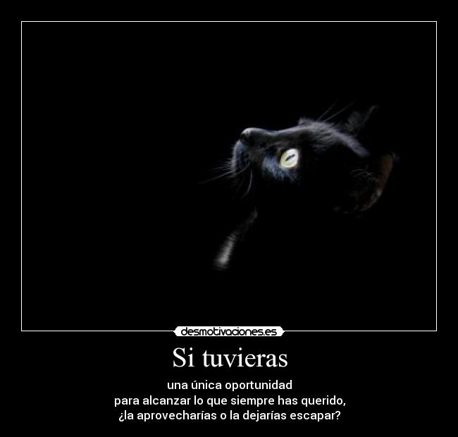 Si tuvieras - 