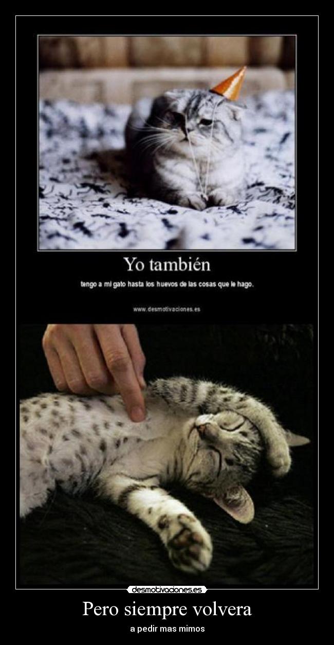Pero siempre volvera - a pedir mas mimos