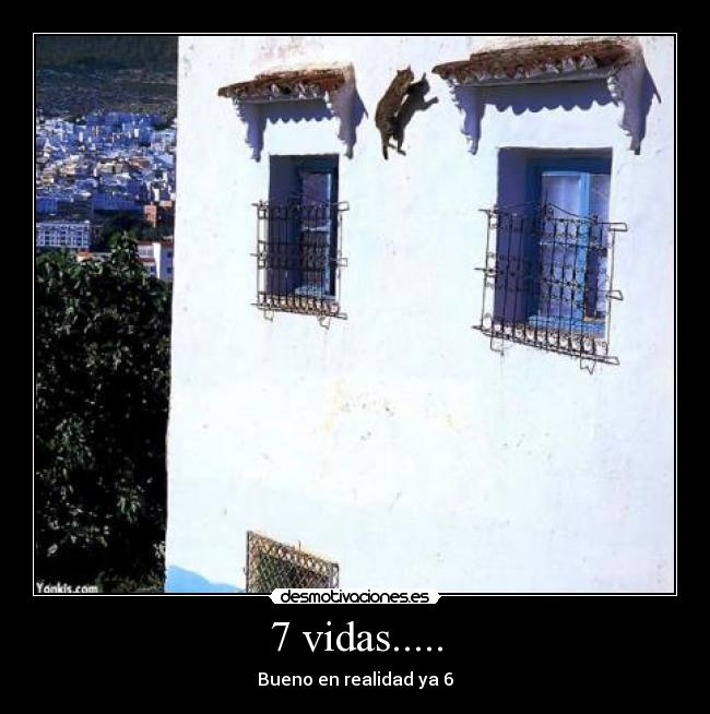 7 vidas..... - Bueno en realidad ya 6