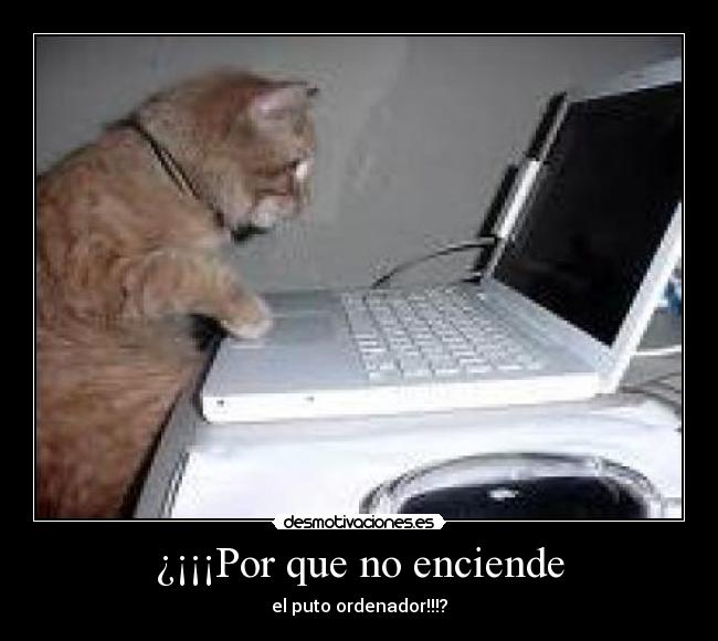 ¿¡¡¡Por que no enciende - el puto ordenador!!!?