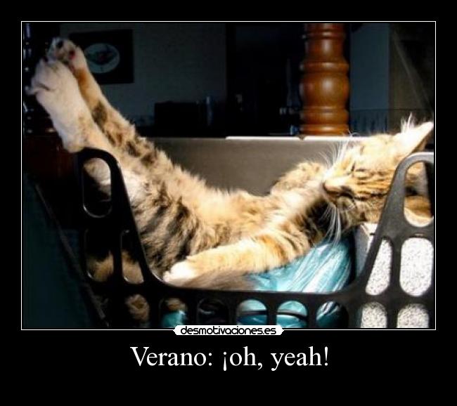 Verano: ¡oh, yeah! - 