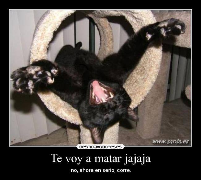 carteles muere hijoputa desmotivaciones