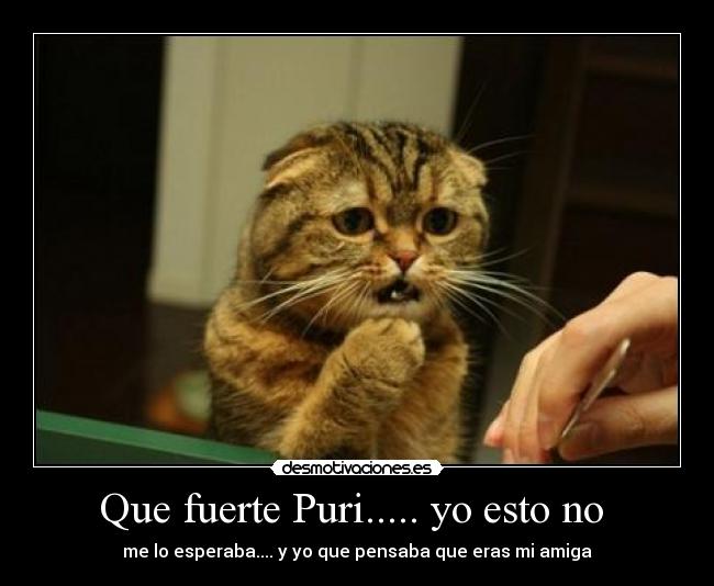 Que fuerte Puri..... yo esto no  - 