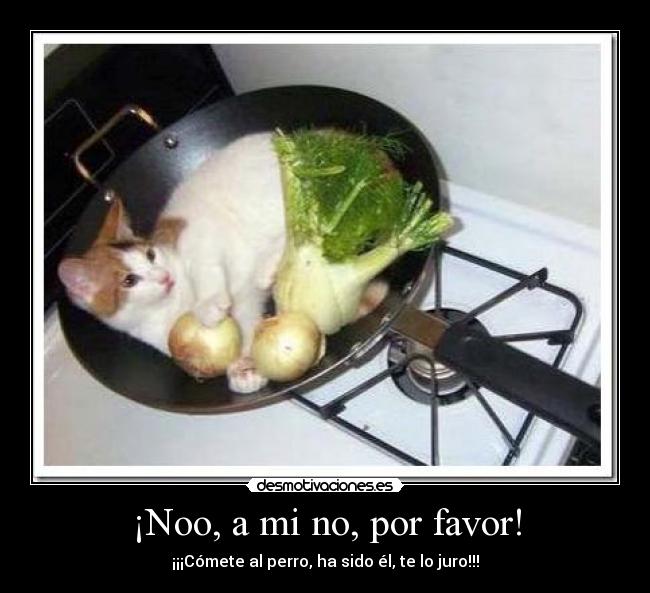 ¡Noo, a mi no, por favor! - 
