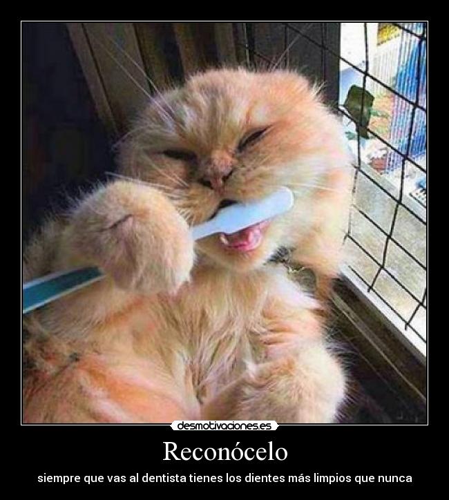 Reconócelo - siempre que vas al dentista tienes los dientes más limpios que nunca