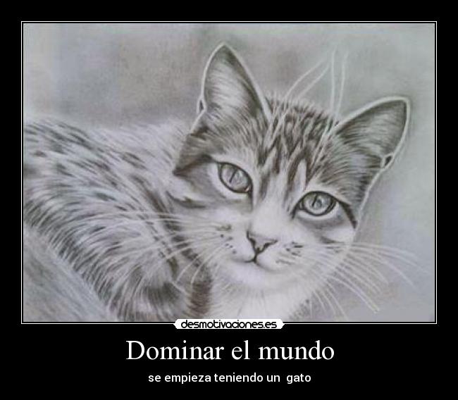 Dominar el mundo - se empieza teniendo un gato