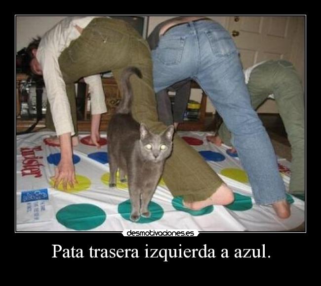 Pata trasera izquierda a azul. -