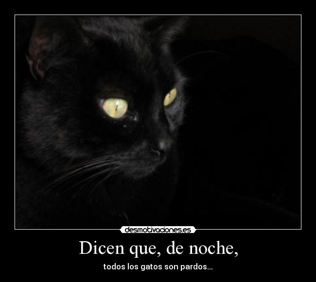 Dicen que, de noche, - 