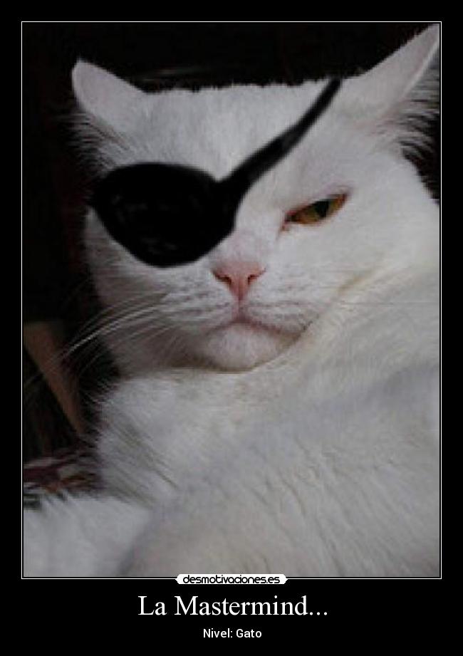 La Mastermind... - Nivel: Gato